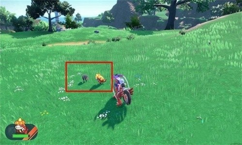 ���������ϰ�׿��