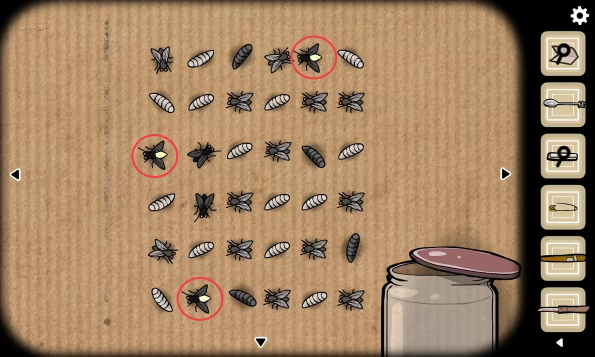 ���뷽���ά�ĺ���