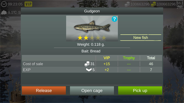 �ҵĵ�������