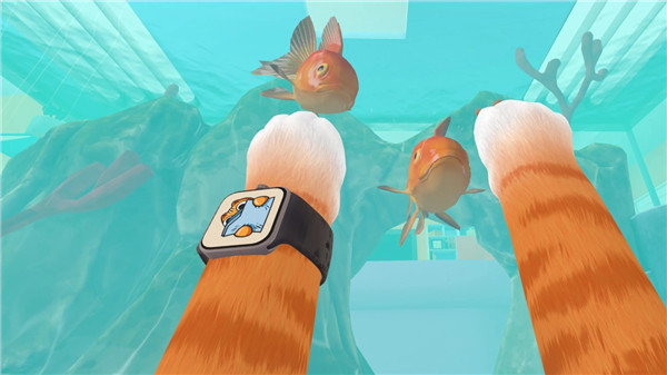 ����è���ʷ�